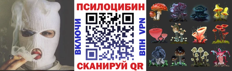 даркнет какой сайт  Кашира  Галлюциногенные грибы MAGIC MUSHROOMS 