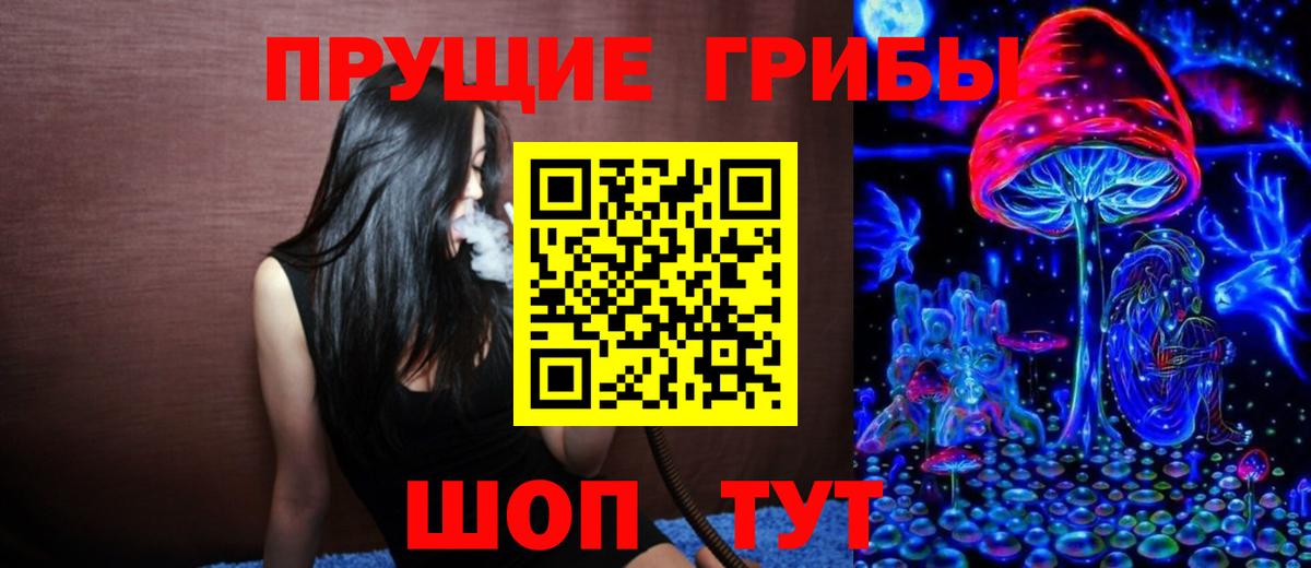 Кашира  как найти   Вход с VPN  Псилоцибиновые грибы мухоморы 