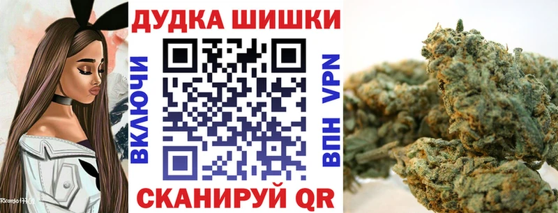 Каннабис планчик  Кашира 